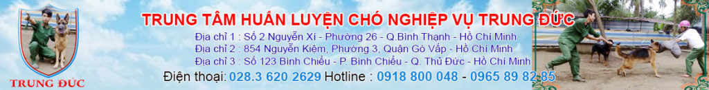 ⭐ TRUNG ĐỨC