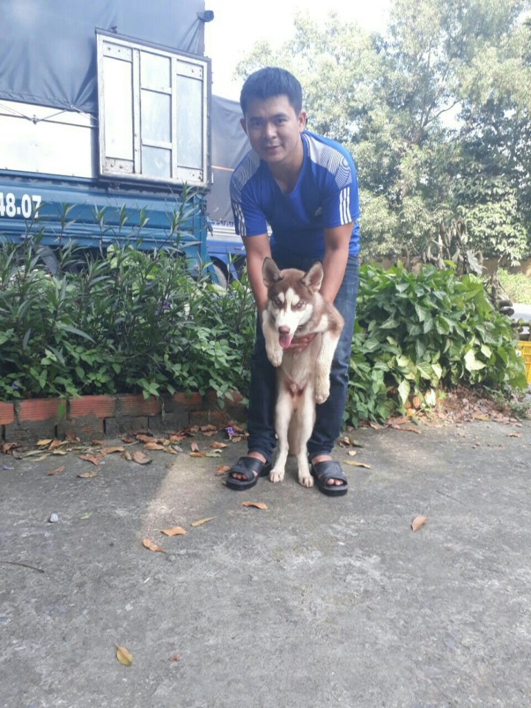 ⭐ TRUNG ĐỨC