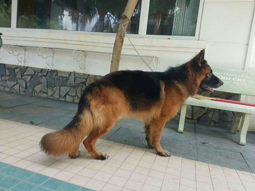 ⭐ TRUNG ĐỨC