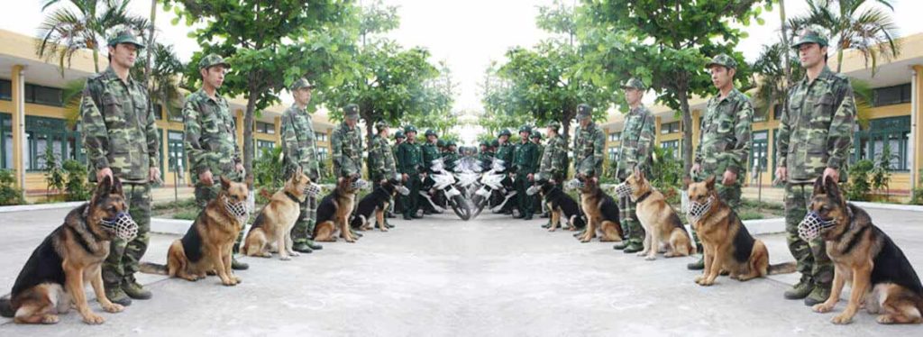 ⭐ TRUNG ĐỨC