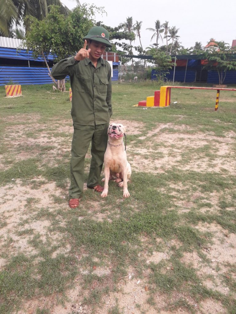 ⭐ TRUNG ĐỨC