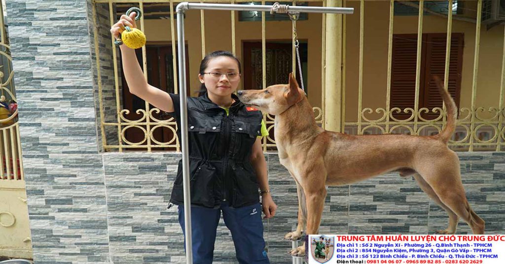 ⭐ TRUNG ĐỨC