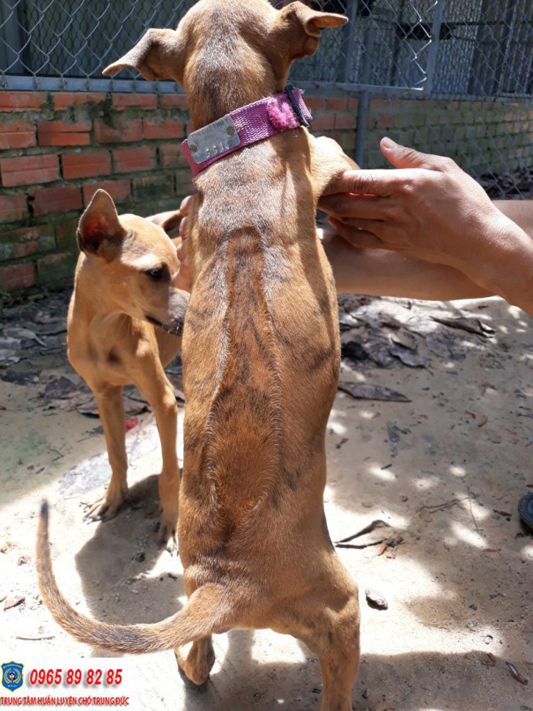 ⭐ TRUNG ĐỨC