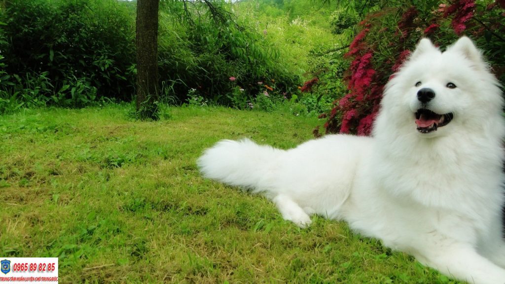 ⭐ TRUNG ĐỨC