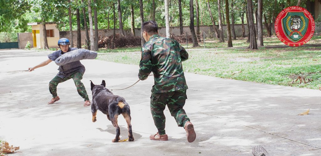 ⭐ TRUNG ĐỨC