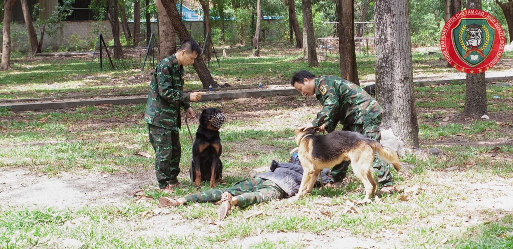 ⭐ TRUNG ĐỨC